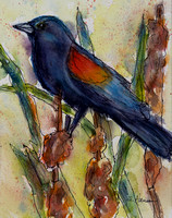 Blackbird Perch
